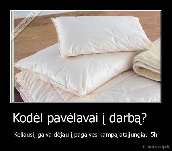 Kodėl pavėlavai į darbą?   