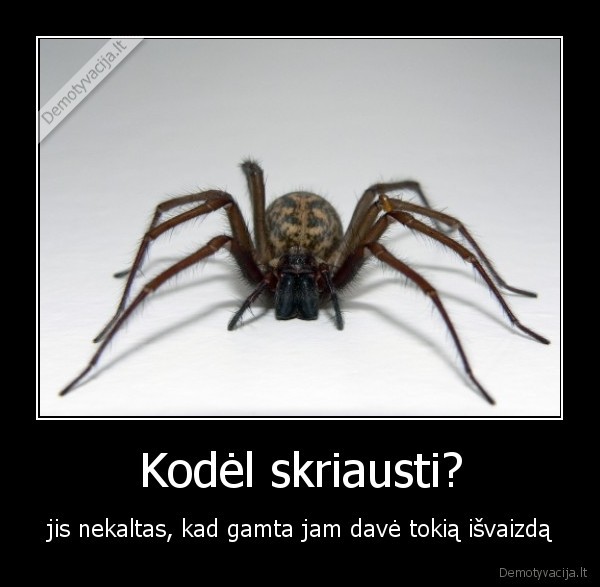 voras, isvaizda, gamta