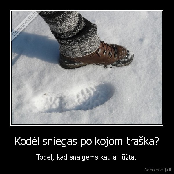 traskesys,traskantis, sniegas