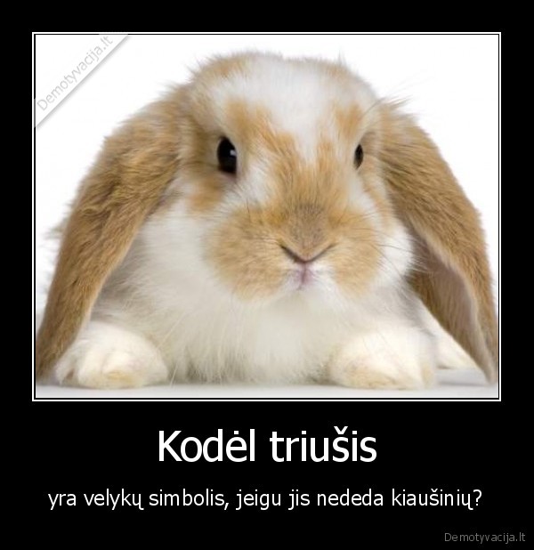 triusis,velykos,marguciai