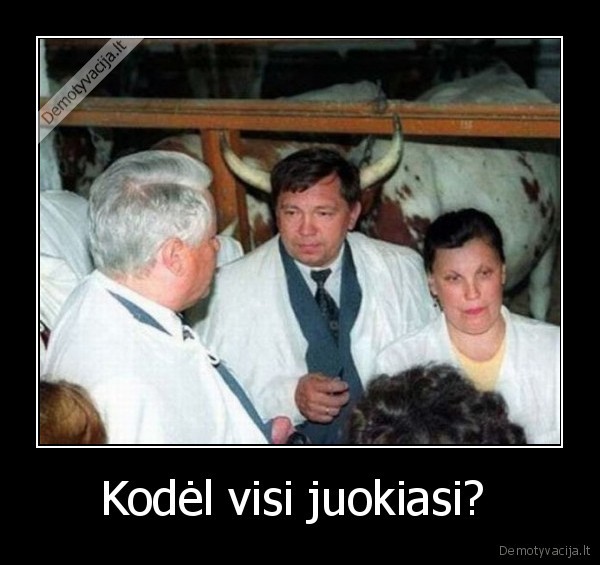 Kodėl visi juokiasi? 