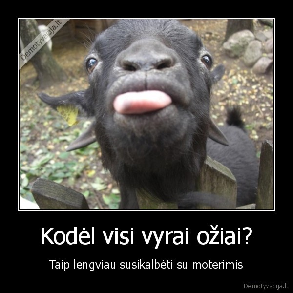 Kodėl visi vyrai ožiai?