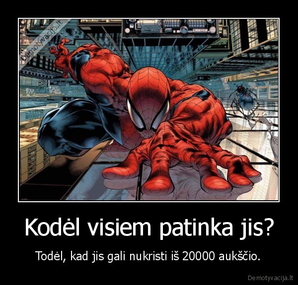 spider, man