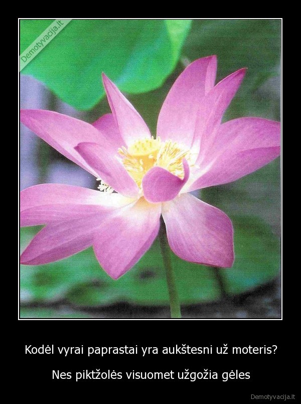 Kodėl vyrai paprastai yra aukštesni už moteris?