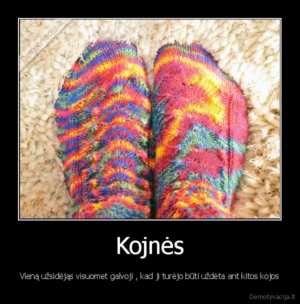 Kojnės