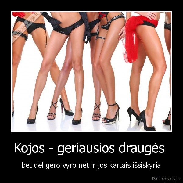 Kojos - geriausios draugės 