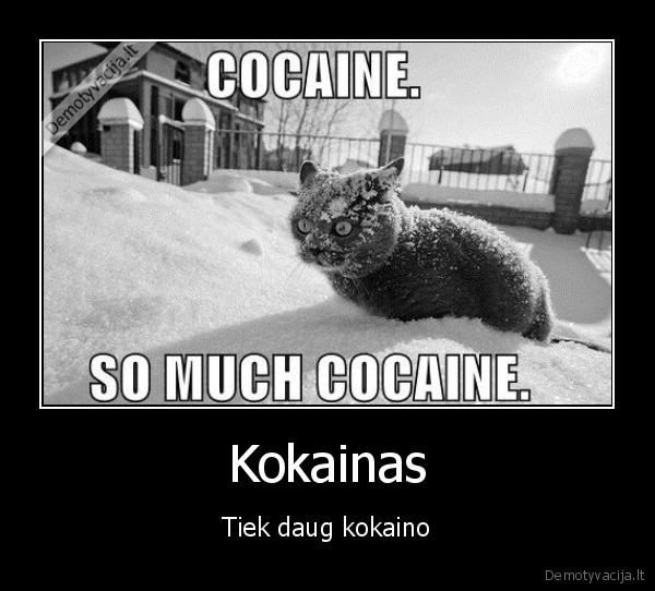 kate,kycius,kokainas