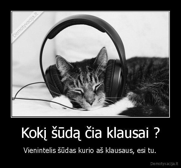 draugas, grybas, suo, bego, kate, bego, ne, viens, neparbego