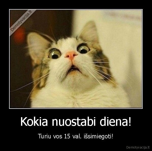 Kokia nuostabi diena!
