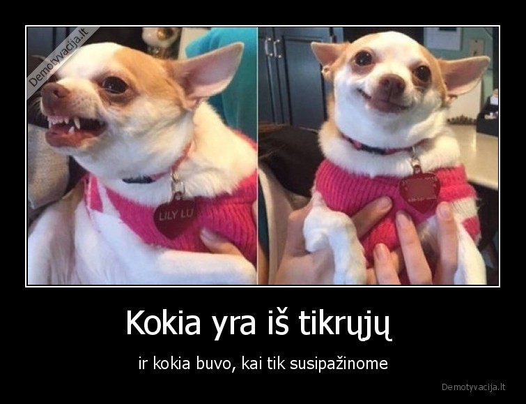 moteris,mergina,suo,realybe