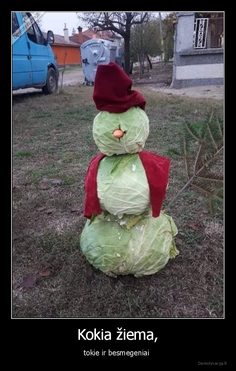 besmegenis,kopustai,morka,ziema,sniegas