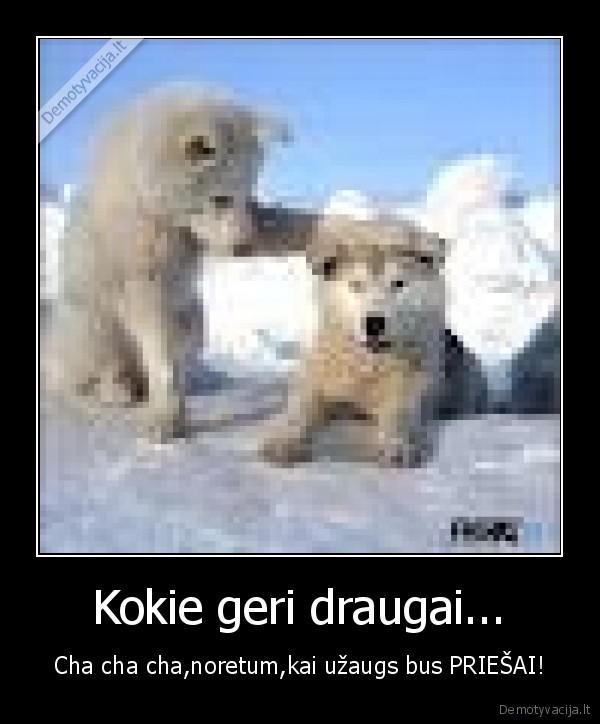 Kokie geri draugai...