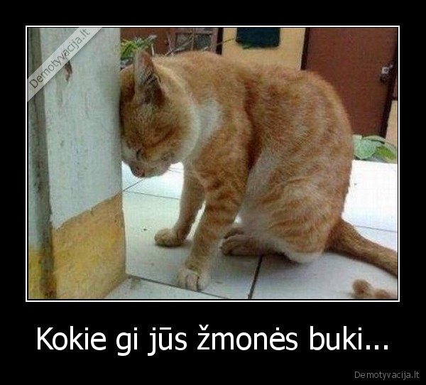 katulis, pakraupes, nuo, zmoniu, bukumo