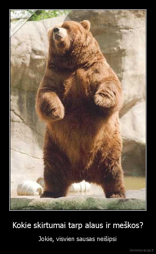 Kokie skirtumai tarp alaus ir meškos?