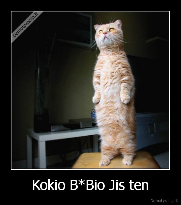 Kokio B*Bio Jis ten