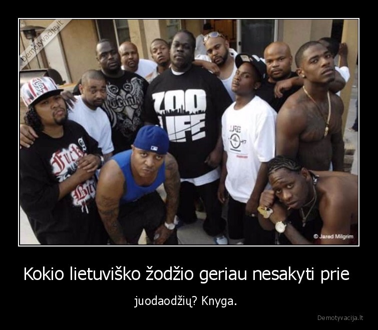 knyga,nigga,juodaodziai,rasizmas