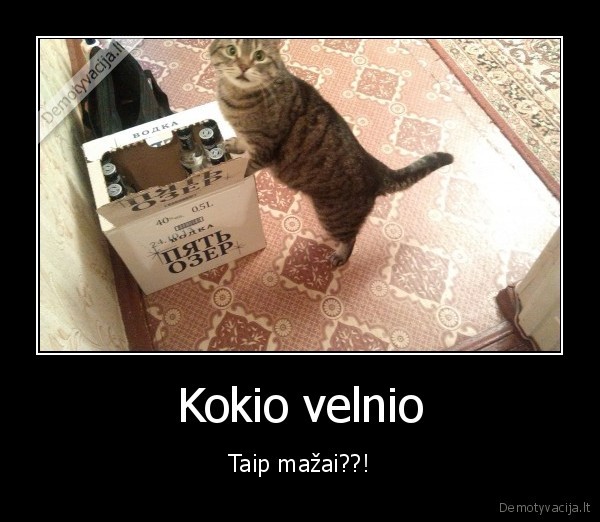 mazai,degtine,katinas