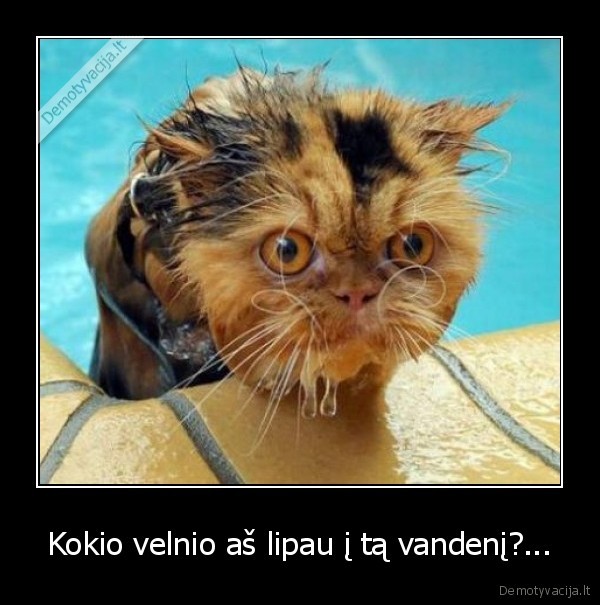Kokio velnio aš lipau į tą vandenį?...