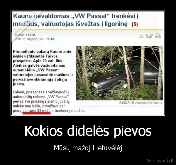 lietuvos, pievos,avarija,delfi, straipsnis