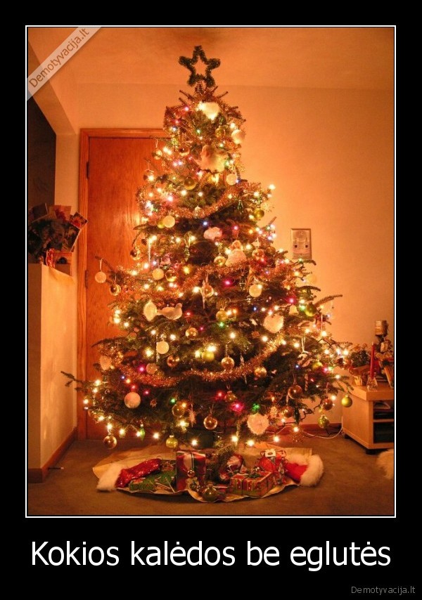 Kokios kalėdos be eglutės