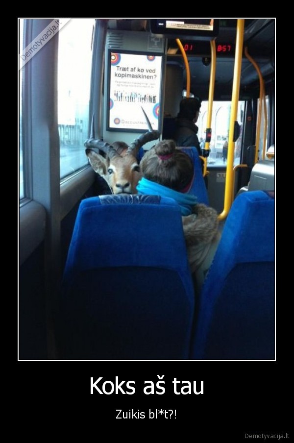 juokingas, vaizdelis,ozka, autobuse