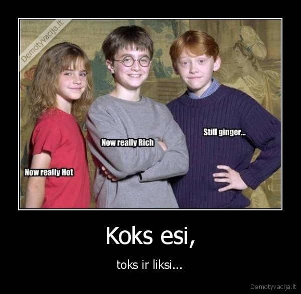 ryzas,dzindzermenas,ginger,harry, potter