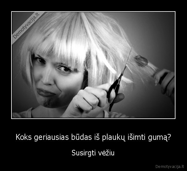 nuslinko, plaukai,guma, plaukuose,juodas, humoras