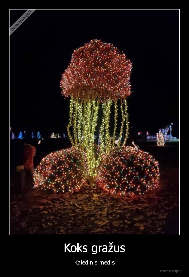 kaledinis, medis,medis,kaledos,papuosimas