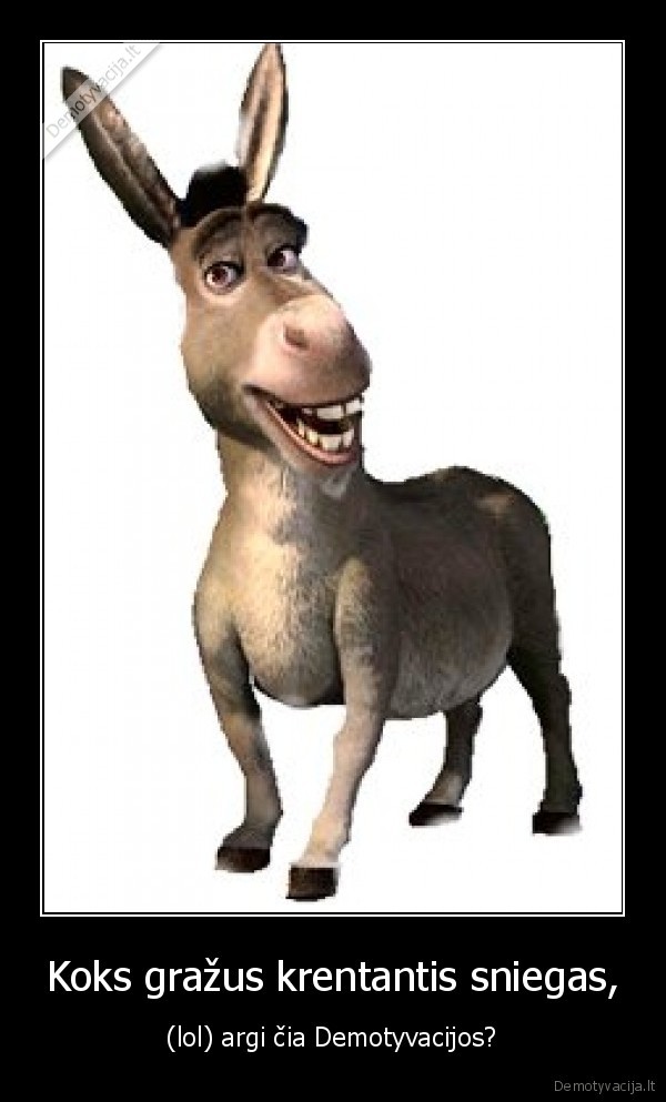 demotyvacija,sniegas,gozis