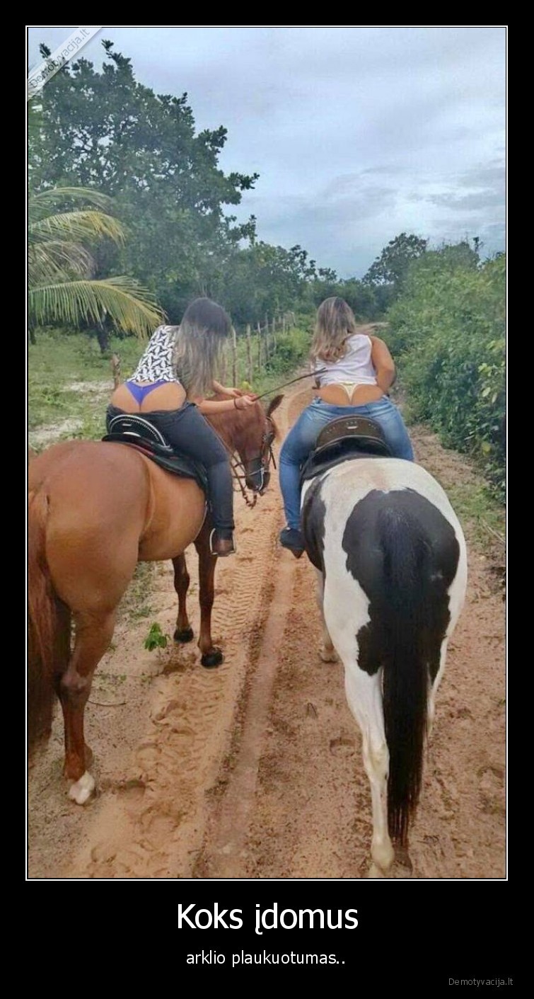 arklys,plaukuotumas,gyvunai