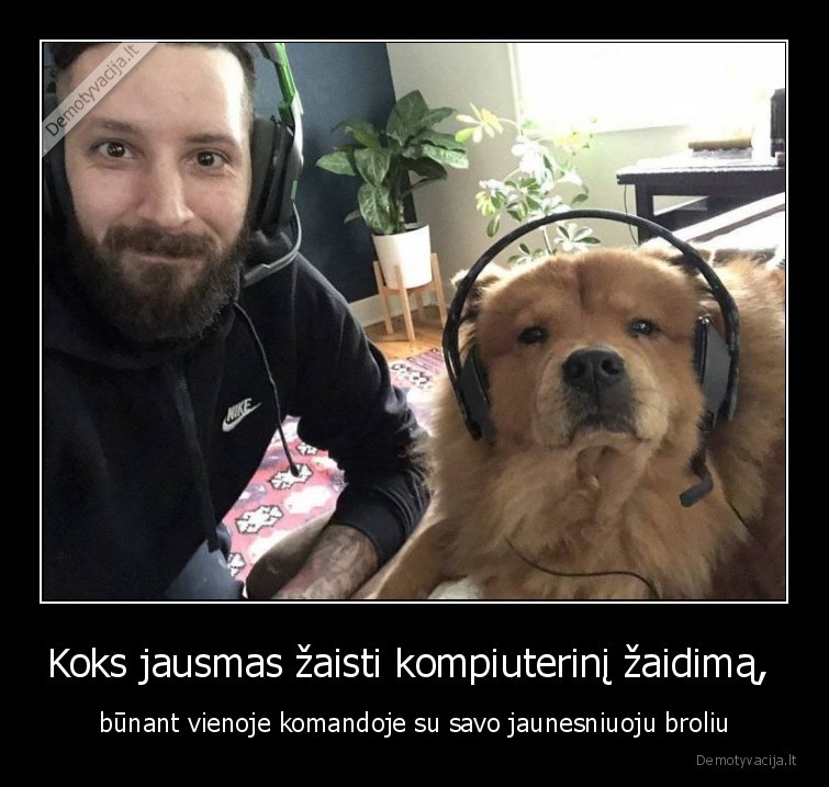 zaidimai,kompiuteris,suo,brolis