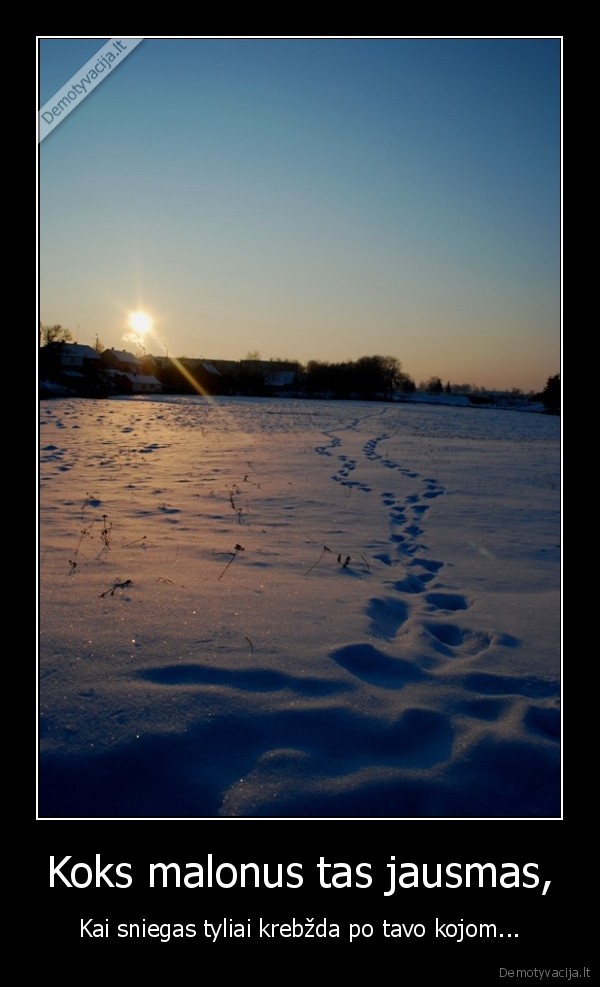 sniegas,ziema,pedos,pedsakai