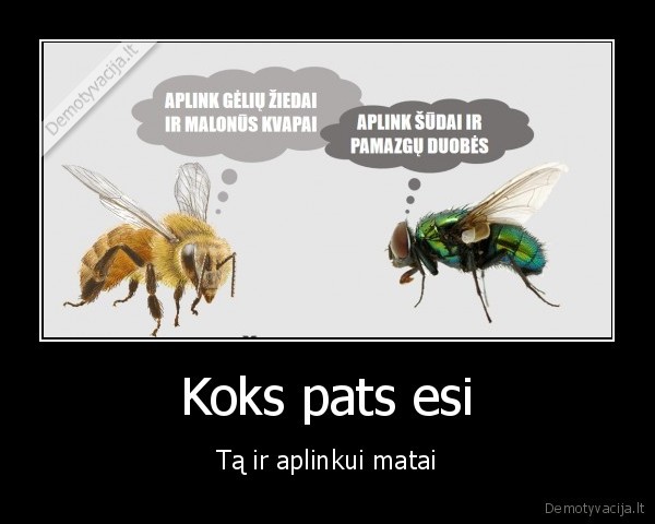 sudmuse,bite,pasauleziura