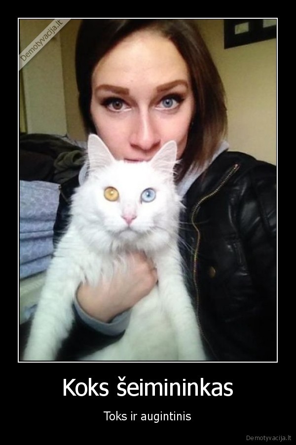skirtingu, spalvu, akys,balta, kate