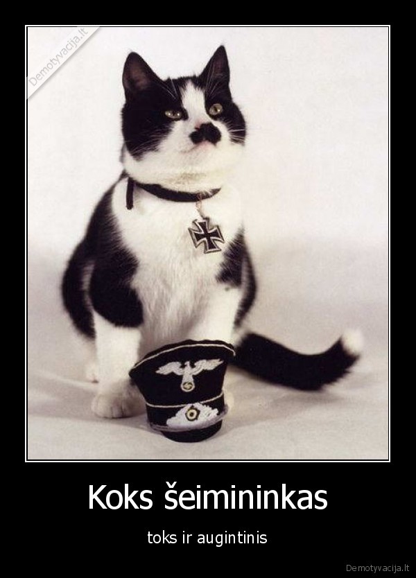 augintinis, auklejimas, paziuros