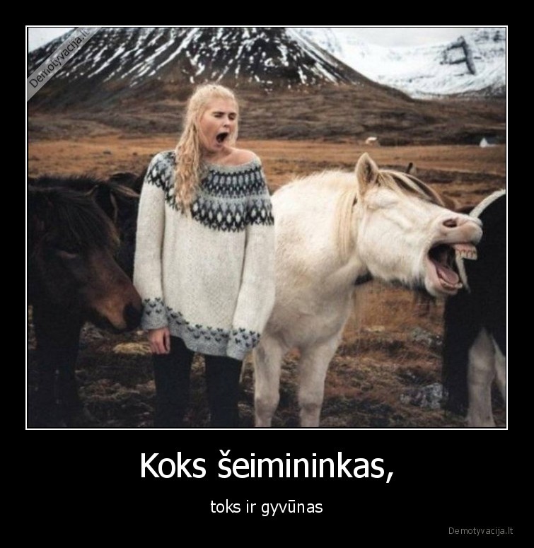 zirgas,mergina,blondine