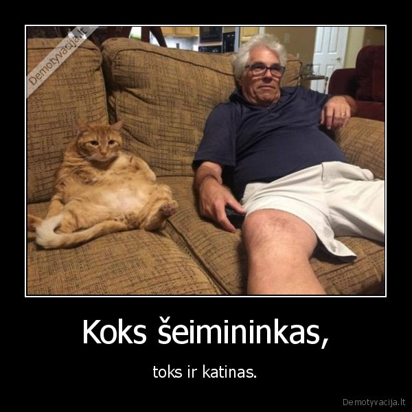 seimininkas,katinas,sofa