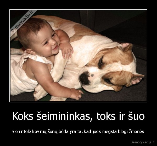Koks šeimininkas, toks ir šuo