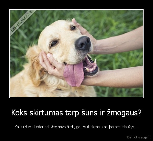 gyvuno, meile,suns, meile