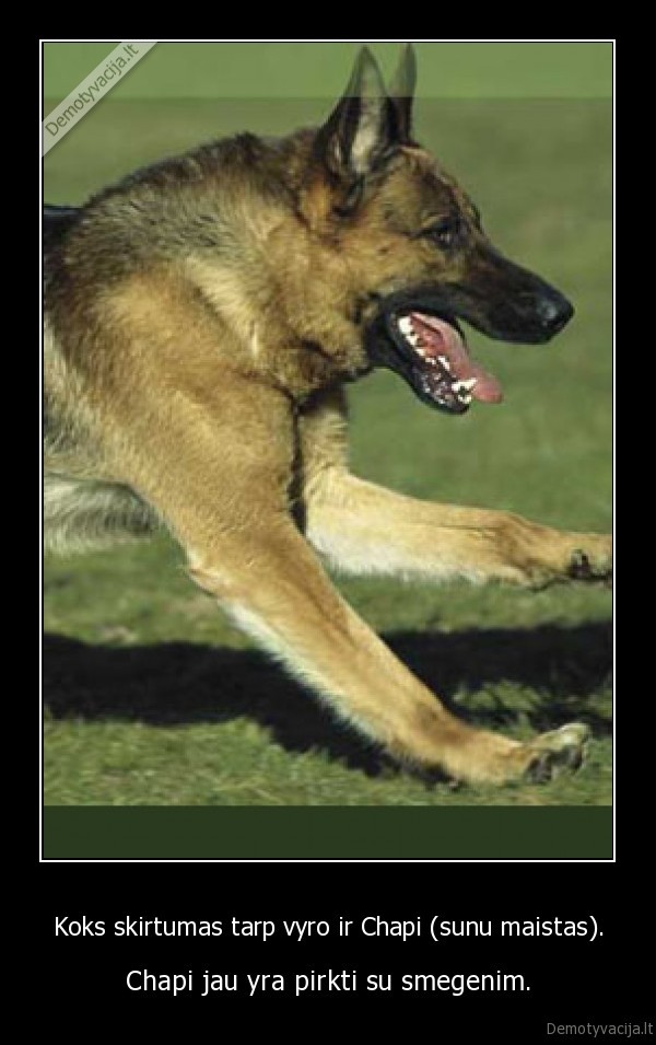 Koks skirtumas tarp vyro ir Chapi (sunu maistas).