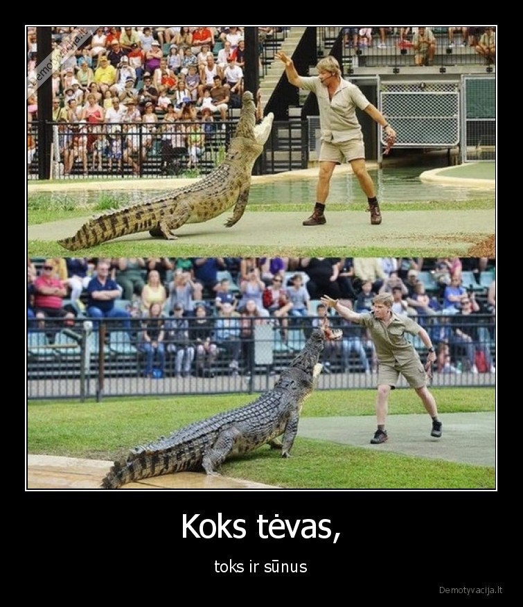 tevas,sunus,krokodilas