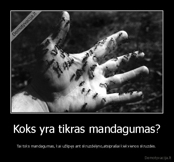 Koks yra tikras mandagumas?