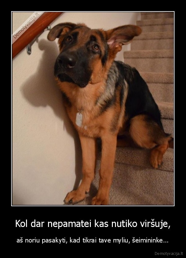 Kol dar nepamatei kas nutiko viršuje,