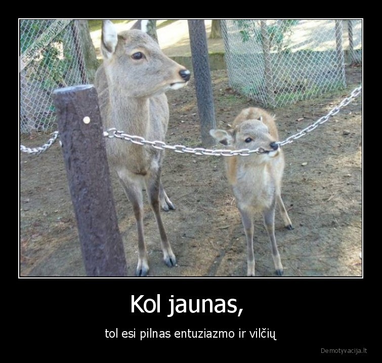 jaunas,entuziazmas,ambicijos