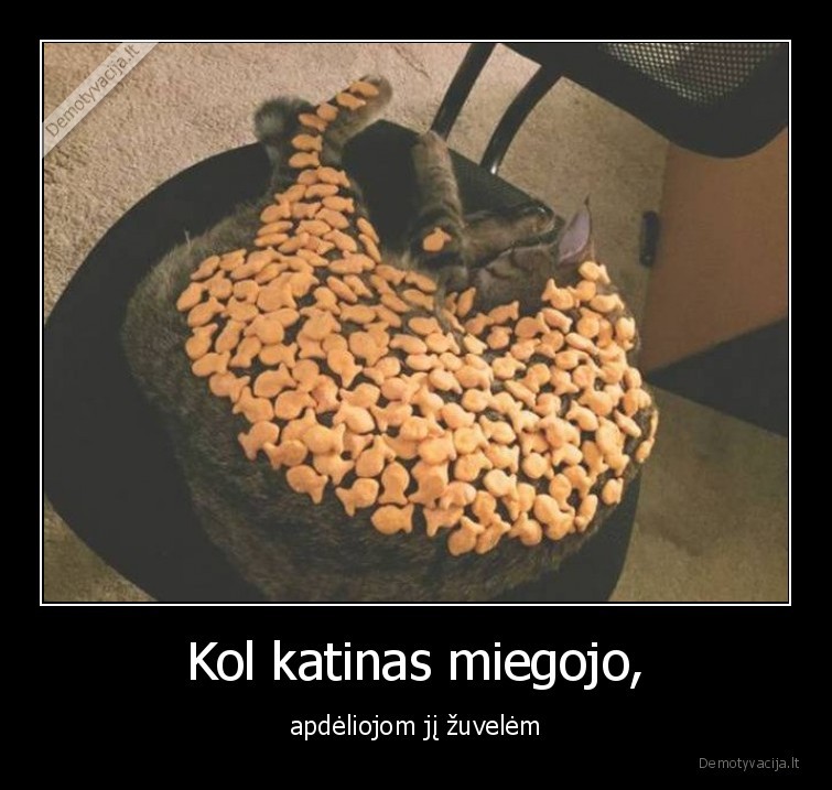 katinas,miegojo,apdeliojom,zuvelem,zuvytes,miegas,sausainiai