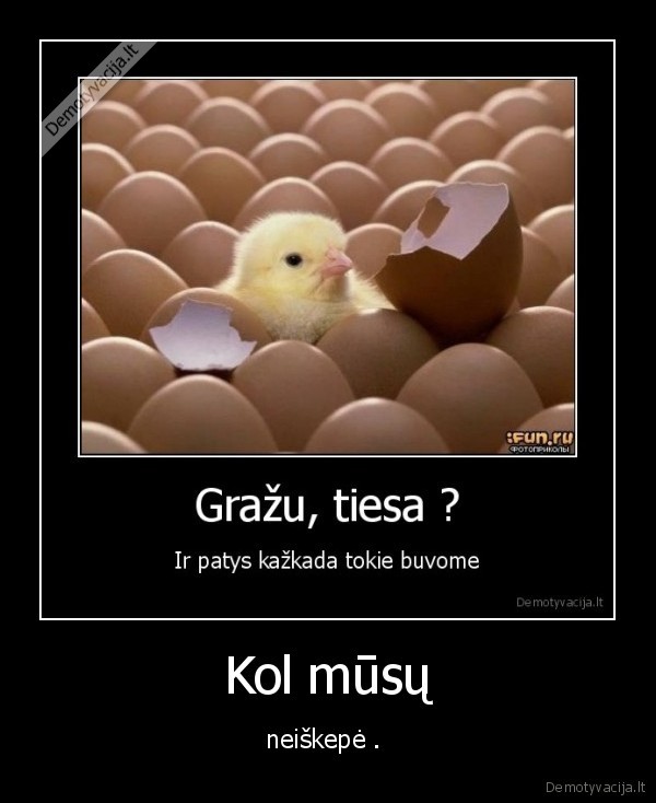 vaikai, nevalgykit, kiausiniu, nes, juos, pagamino, kubilius