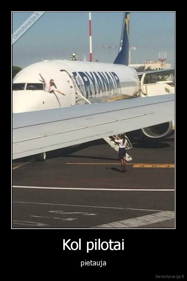 skrydzio, palydoves,lektuvas,fotografuotis