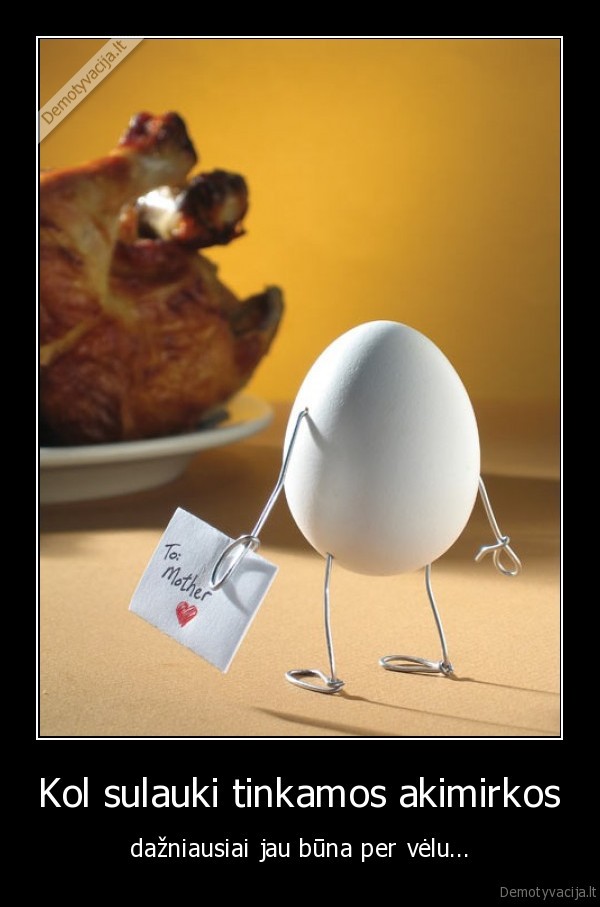 vista,kiausinis,vista, ar, kiausinis,kepta, vista