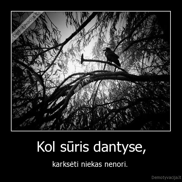 Kol sūris dantyse,