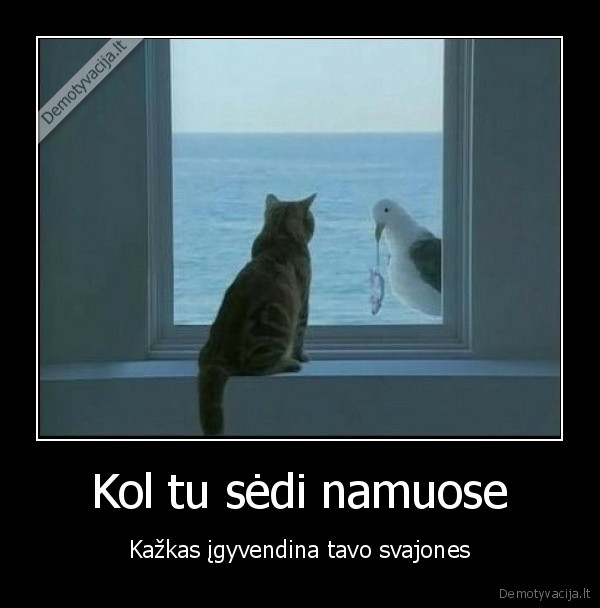 Kol tu sėdi namuose